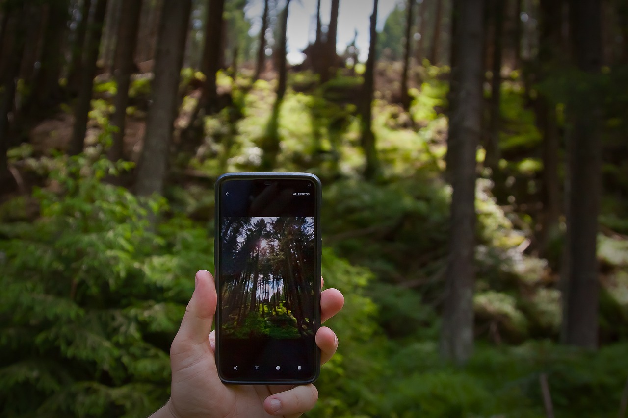 forest, smartphone, nature